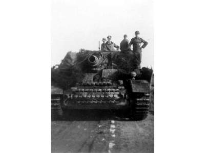 Sturmtiger And Sturmpanzer In Combat - zdjęcie 5