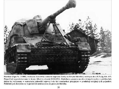 Hornisse-nashorn - zdjęcie 4