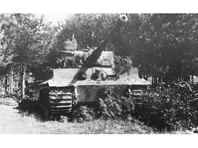 Dywizje Waffen SS Na Froncie Wschodnim 1943 - 1945 - Velimir Vuk - zdjęcie 7