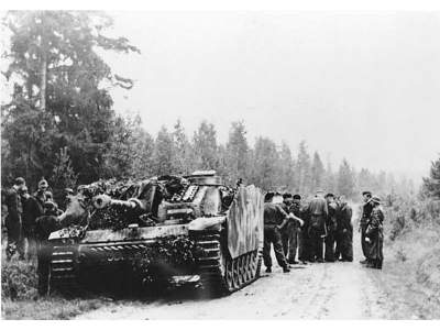 Dywizje Waffen SS Na Froncie Wschodnim 1943 - 1945 - Velimir Vuk - zdjęcie 9