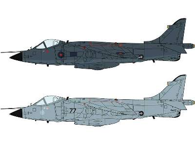 Sea Harrier FRS Mk.1 Falklands - 2 modele - zdjęcie 1