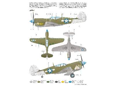 P-40N Warhawk - zdjęcie 2