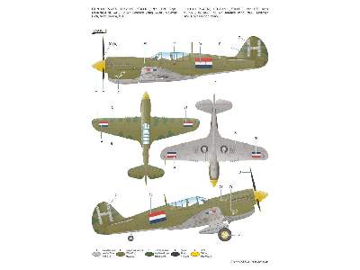 P-40N Warhawk - zdjęcie 4