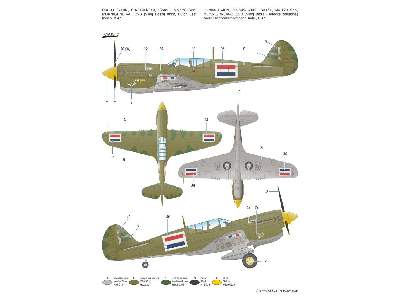 P-40N Warhawk - zdjęcie 5