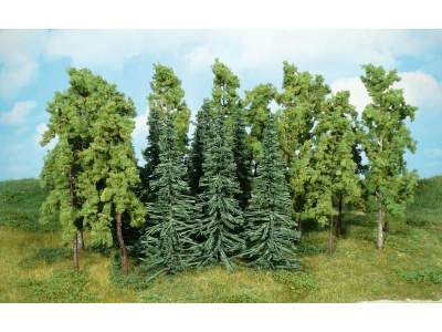 Drzewa liściaste - wys. 14-16 cm - 12 sztuk. - zdjęcie 1
