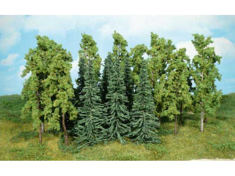 Drzewa liściaste - wys. 14-16 cm - 12 sztuk. - zdjęcie 1 Drzewa liściaste - wys. 14-16 cm - 12 sztuk. - zdjęcie 1