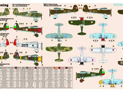 P-24 B/E/F/G Balkan Defender - zdjęcie 5