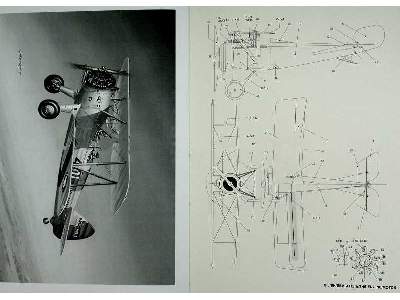 Nieuport 23 - zdjęcie 4