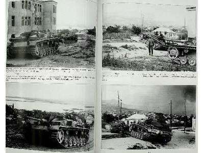 Stug.Abt./Brig. 210 - zdjęcie 10