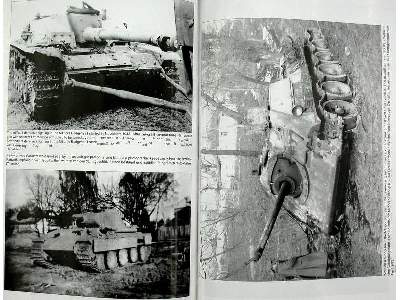 Stug.Abt./Brig. 210 - zdjęcie 15