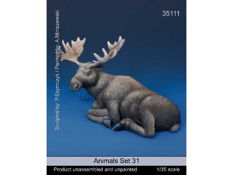 Animals Set 31 - zdjęcie 1 Animals Set 31 - zdjęcie 1