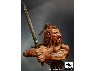 Celtic Warrior - zdjęcie 3