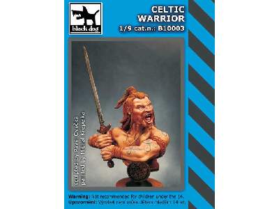 Celtic Warrior - zdjęcie 5