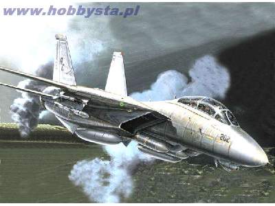 F-14 A Tomcat Plus - zdjęcie 1