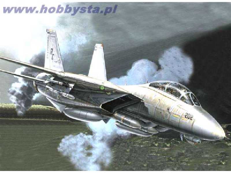 F-14 A Tomcat Plus - zdjęcie 1