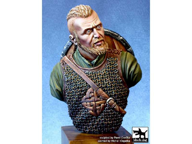 Viking - zdjęcie 1 Viking - zdjęcie 1