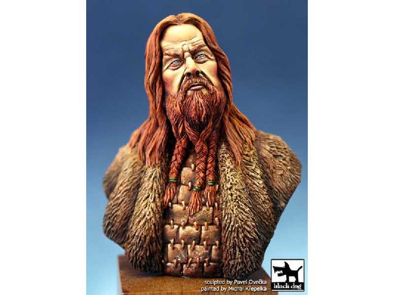 Viking N°2 - zdjęcie 1 Viking N°2 - zdjęcie 1