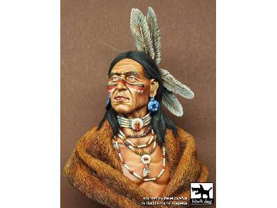 Sioux Lakota - zdjęcie 2