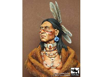 Sioux Lakota - zdjęcie 3