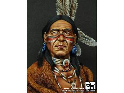 Sioux Lakota - zdjęcie 4