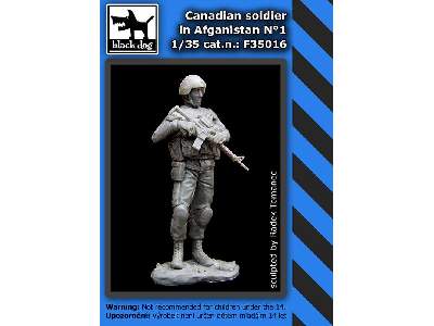Canadian Soldier In Afganistan N°1 - zdjęcie 2