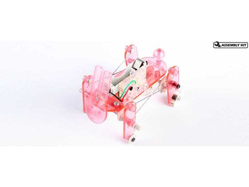 Mechaniczny królik - skaczący - zdjęcie 1 Mechaniczny królik - skaczący - zdjęcie 1