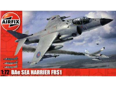 BAe Sea Harrier FRS1 - zdjęcie 1