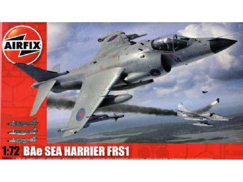 BAe Sea Harrier FRS1 - zdjęcie 1 BAe Sea Harrier FRS1 - zdjęcie 1