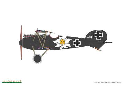 Albatros D. V 1/48 - zdjęcie 5