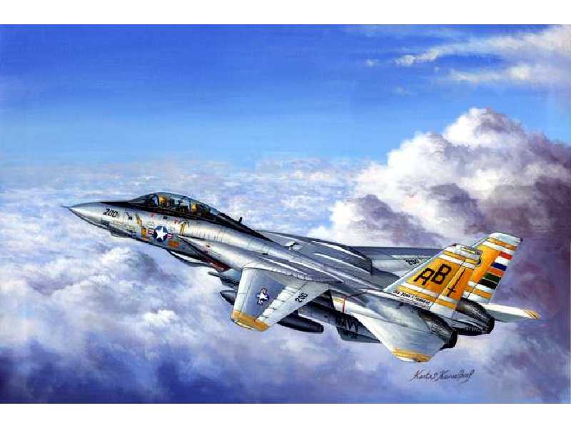 Grumman F-14 Tomcat - zdjęcie 1 Grumman F-14 Tomcat - zdjęcie 1