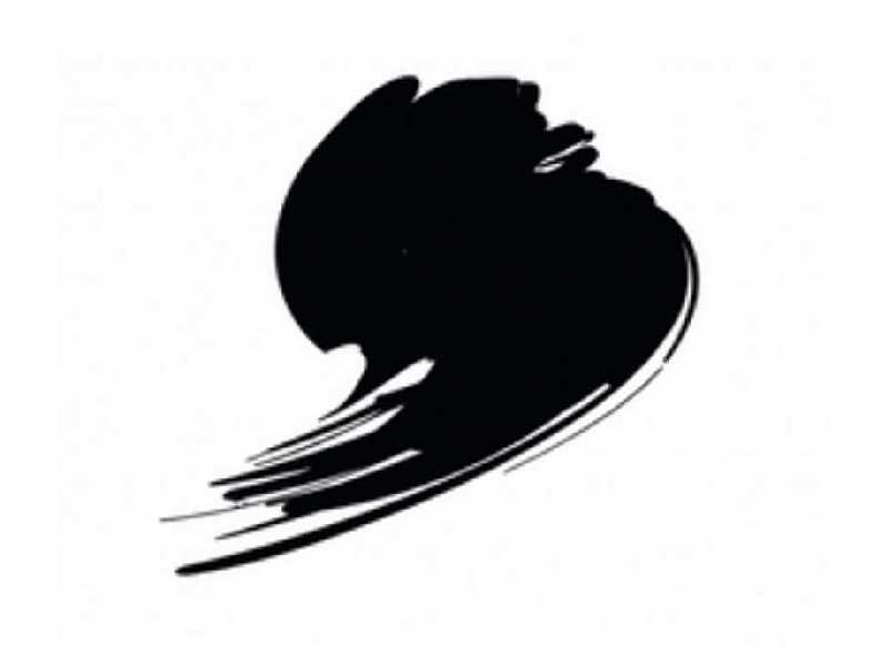 Htk-c100 Jet Black ( RAL 9005 ) - zdjęcie 1 Htk-c100 Jet Black ( RAL 9005 ) - zdjęcie 1