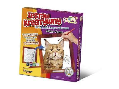 Zestaw Kreatywny Maine Coon - zdjęcie 1