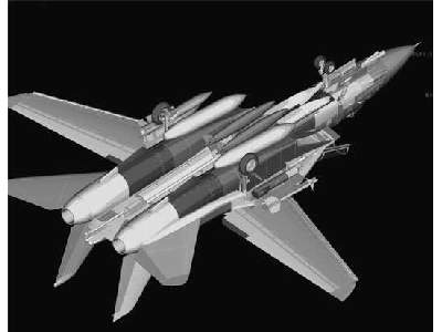 Grumman F-14B Tomcat - zdjęcie 4