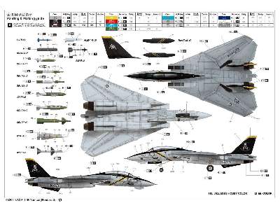 Grumman F-14B Tomcat - zdjęcie 7