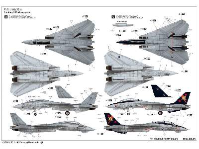 Grumman F-14B Tomcat - zdjęcie 8