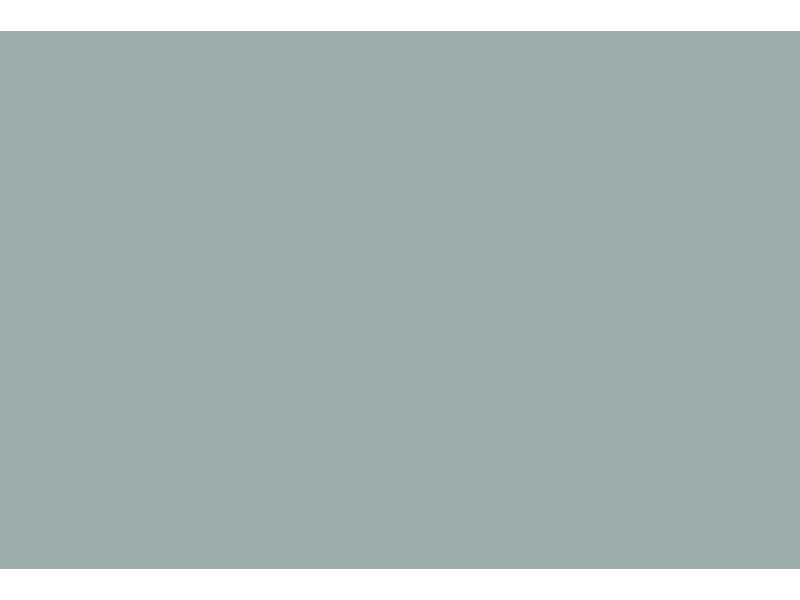 Russian AF Grey Blue - zdjęcie 1 Russian AF Grey Blue - zdjęcie 1