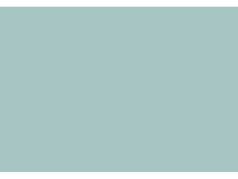 Russian AF Light Blue - zdjęcie 1 Russian AF Light Blue - zdjęcie 1