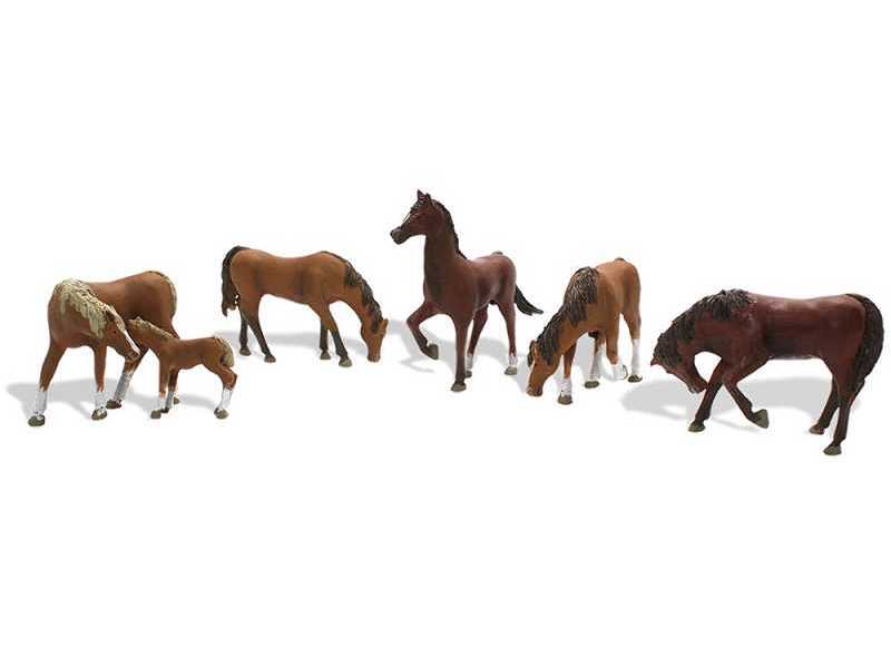 Chestnut Horses - zdjęcie 1 Chestnut Horses - zdjęcie 1