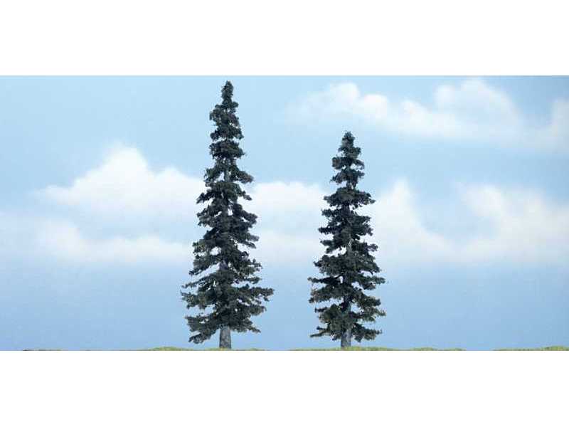 Spruce - zdjęcie 1 Spruce - zdjęcie 1