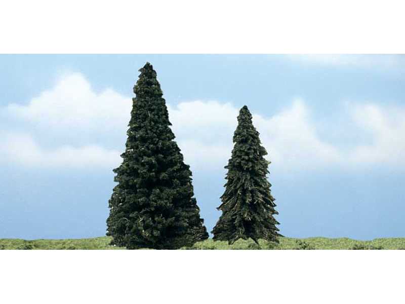Evergreen - zdjęcie 1 Evergreen - zdjęcie 1