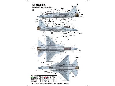 Chiński FC-1 Fierce Dragon (Pakistański JF-17 Thunder) - zdjęcie 2