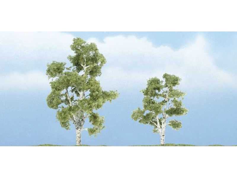 2 1/4 - 3 Premium Sycamore (2 / Pk) - zdjęcie 1 2 1/4 - 3 Premium Sycamore (2 / Pk) - zdjęcie 1