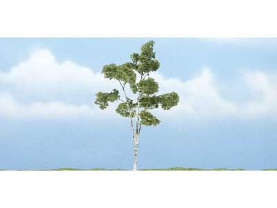 4 1/8 Premium Paper Birch (1 / Pk) - zdjęcie 1