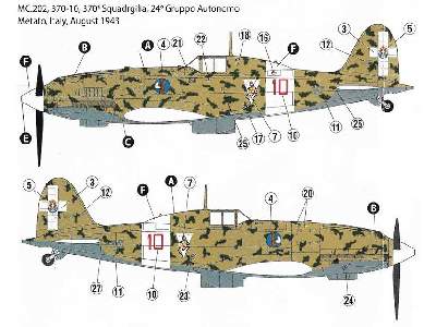 Macchi MC.202 Folgore - 370a Squadriglia, Włochy 1943 - zdjęcie 6