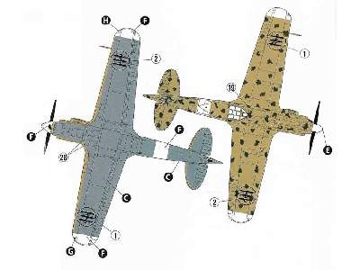 Macchi MC.202 Folgore - 370a Squadriglia, Włochy 1943 - zdjęcie 7