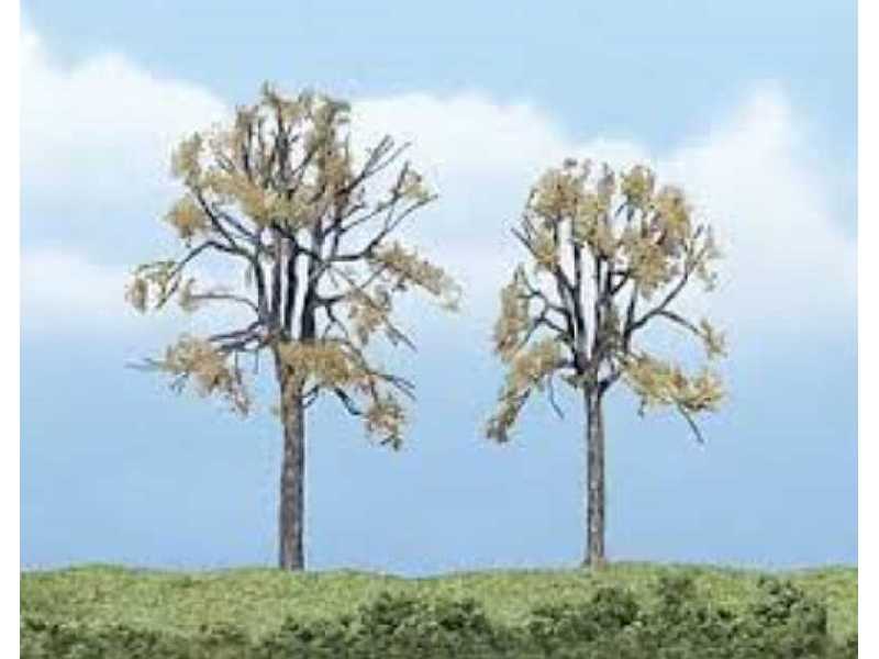 Premium Trees 2.25-3.25in.Dead E - zdjęcie 1 Premium Trees 2.25-3.25in.Dead E - zdjęcie 1