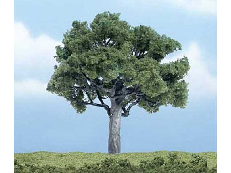 4in. Walnut Tree 1/Pkg - zdjęcie 1 4in. Walnut Tree 1/Pkg - zdjęcie 1