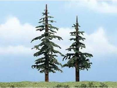 4-5in. Lodgepole Tree 2/Pk - zdjęcie 1