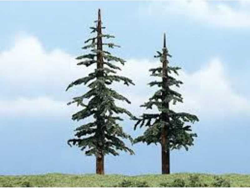 4-5in. Lodgepole Tree 2/Pk - zdjęcie 1 4-5in. Lodgepole Tree 2/Pk - zdjęcie 1