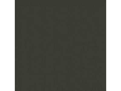 C361 Dark Green Bs641 (Flat) - zdjęcie 1